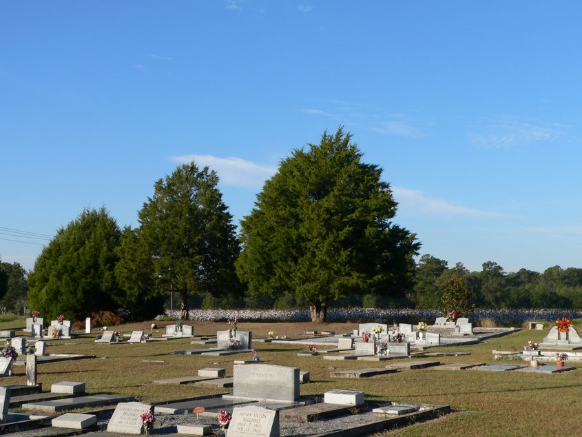 Welcome Hill Church of Christ Cemetery